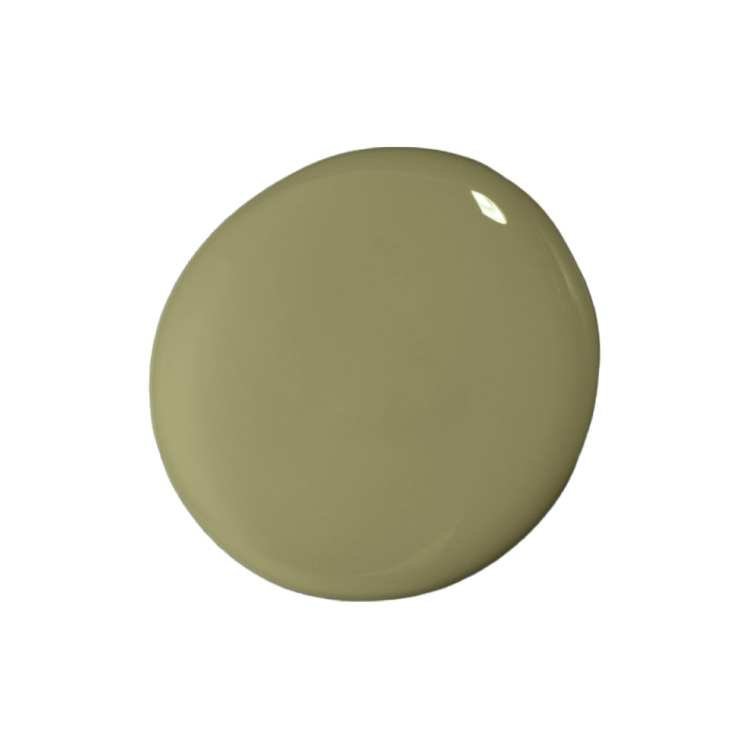 Olive Queen - Swatch - Ooh Paint Store